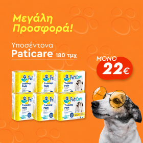 SUPER ΠΡΟΣΦΟΡΑ ΥΠΟΣΕΝΤΟΝΑ PATICARE 60X60 180ΤΜΧ MONO 22€
